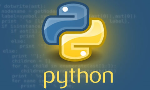 python deloper