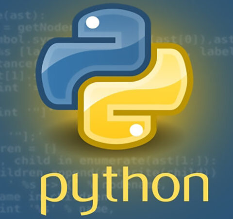 python deloper