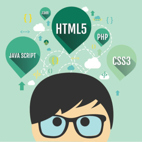 full stack developer