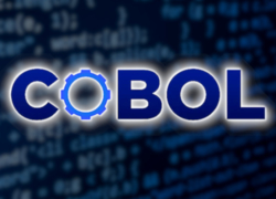 cobol developer
