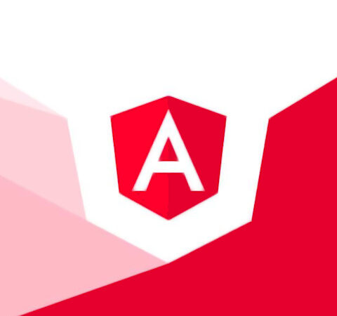 angular developer