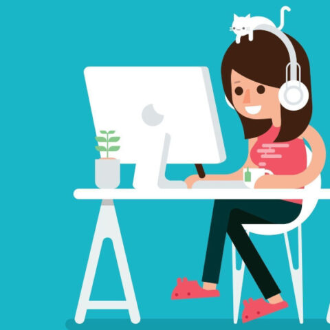 junior developer