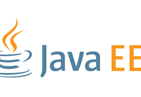JavaEE developer