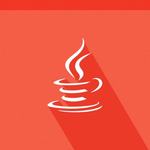 java developer