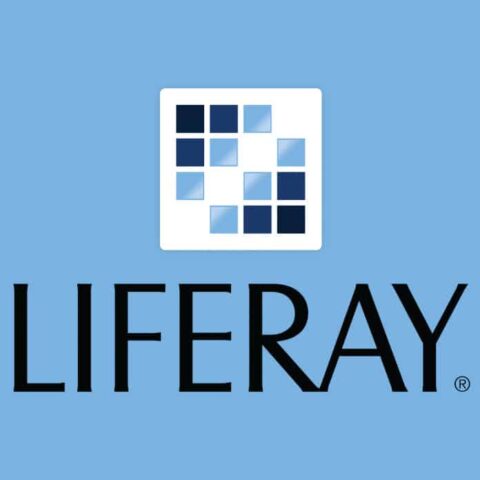 lliferay developer