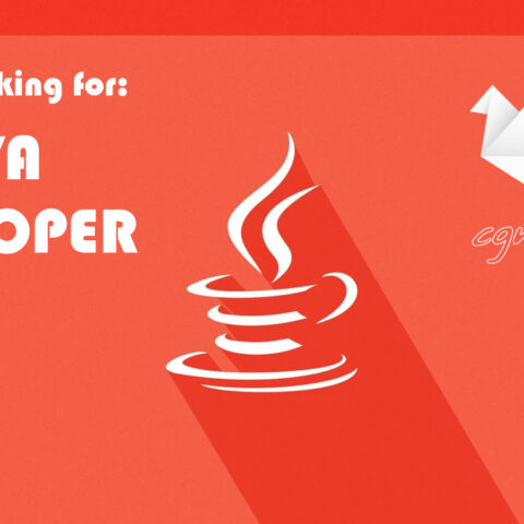looking for java developer