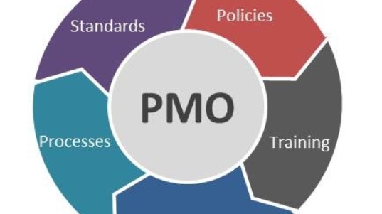 PMO Program Manager Operational