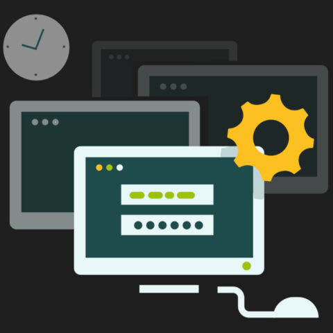 developer