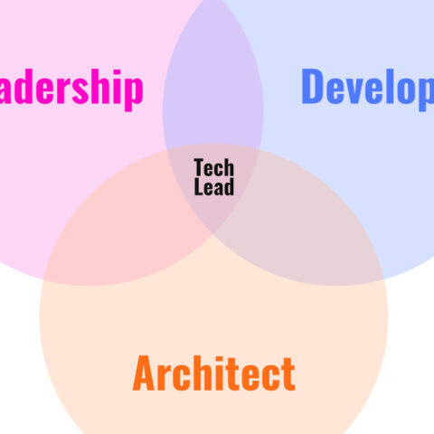 Technical Integrator Leader