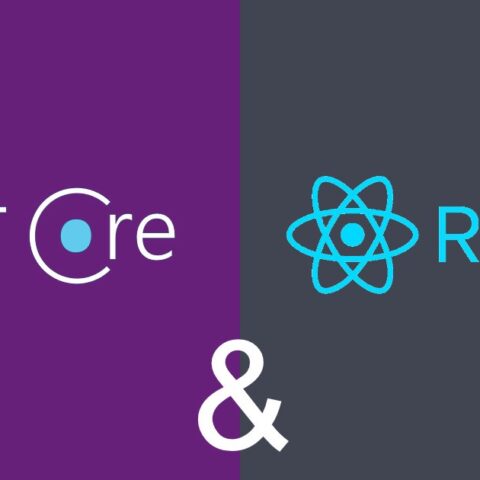 Sviluppatore .Net Core & React JS