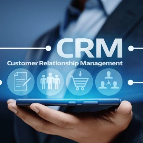 crm project manager