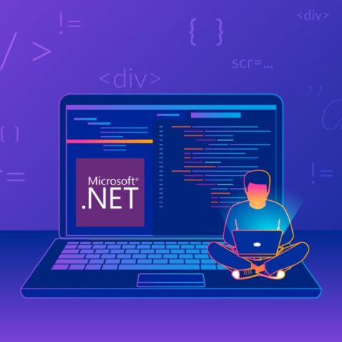 .net developer
