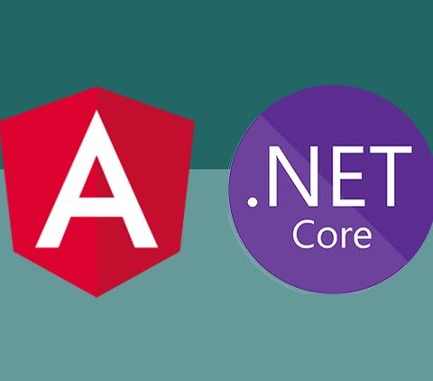 Angular / .net developer