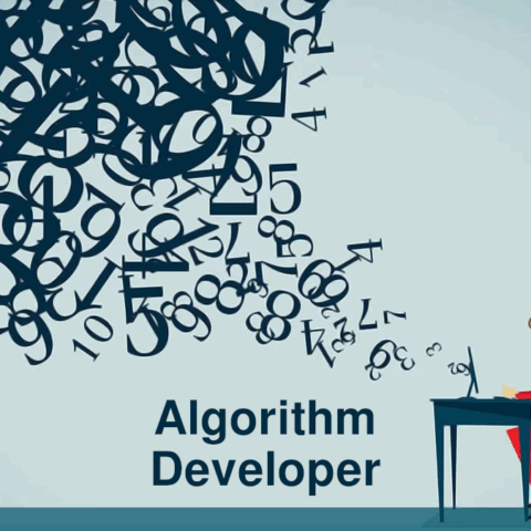 algorithm developer