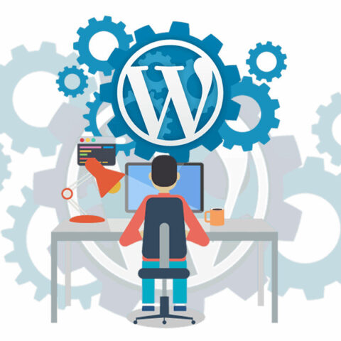wordpress developer