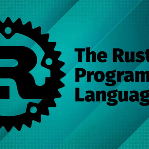 Rust developer programming language